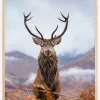 Red deer in the mountains Plakat (21x29.7 cm (A4))