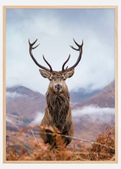 Red deer in the mountains Plakat (21x29.7 cm (A4))