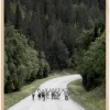 Reindeer road Plakat (21x29.7 cm (A4))