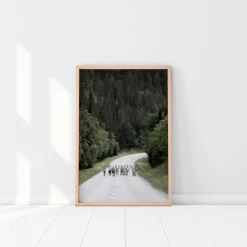 Reindeer road Plakat (21x29.7 cm (A4))