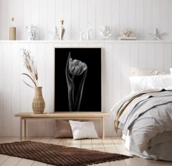 Rembrandt Tulip Plakat (21x29.7 cm (A4))