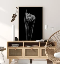 Rembrandt Tulip Plakat (21x29.7 cm (A4))