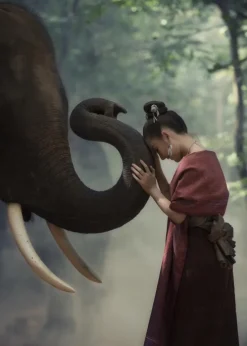 Respect the elephant Plakat (21x29.7 cm (A4))