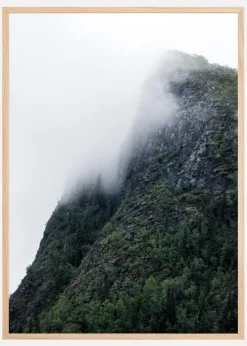 Reveal Plakat (21x29,7 cm (A4))