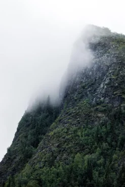 Reveal Plakat (21x29,7 cm (A4))