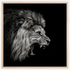 Roaring Lion #2 Plakat (30x30 cm)