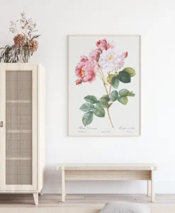 Rosa Damascena Plakat (21x29.7 cm (A4))