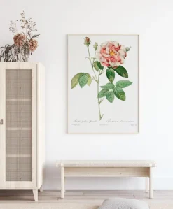 Rose Plakat (21x29.7 cm (A4))