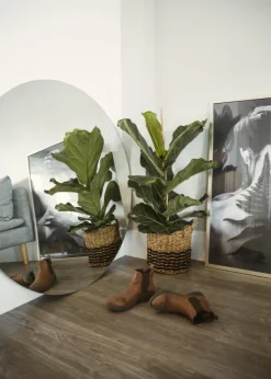 Rundt Spejl 110 cm Ø