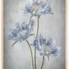 Scabiosa Plakat (21x29.7 cm (A4))