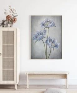 Scabiosa Plakat (21x29.7 cm (A4))