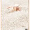 Seashell beach Plakat (21x29.7 cm (A4))