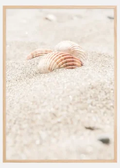 Seashell beach Plakat (21x29.7 cm (A4))