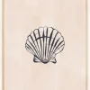 Seashell Plakat (21x29.7 cm (A4))