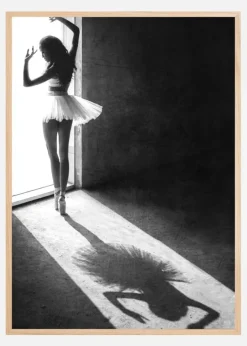 Shadow Dance Plakat (21x29.7 cm (A4))