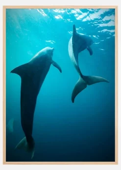 Shapes of Dolphins Plakat (21x29.7 cm (A4))