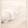 Shell Plakat (21x29.7 cm (A4))