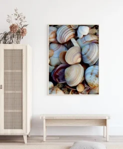 Shells Plakat (21x29.7 cm (A4))
