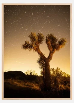 Shooting Stars Plakat (21x29.7 cm (A4))