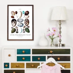 Skole - Fugleæg Plakat (21x29.7 cm (A4))