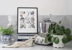 Skole - Fugleæg Plakat (21x29.7 cm (A4))