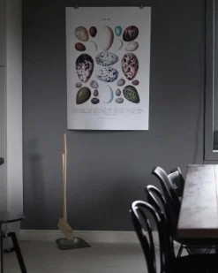 Skole - Fugleæg Plakat (21x29.7 cm (A4))