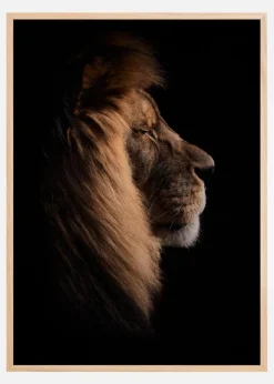 Sleeping King Plakat (21x29.7 cm (A4))