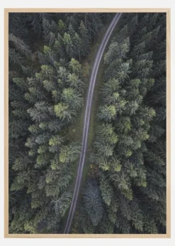 Small road through the forest Plakat (21x29.7 cm (A4))