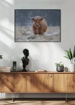 Snowy Highland cow Plakat (21x29.7 cm (A4))