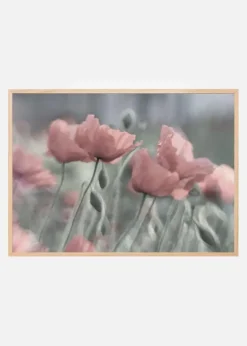 Softly Plakat (21x29.7 cm (A4))