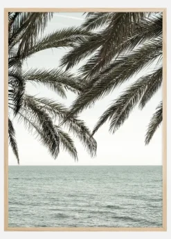 Solaris II Plakat (21x29.7 cm (A4))