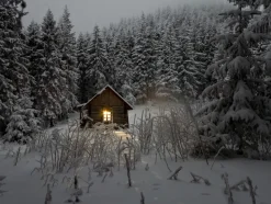 Sommerhus i vinterfrakke Plakat (30x40 cm)