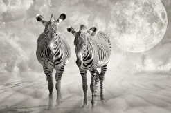 Soulmate Plakat (21x29.7 cm (A4))