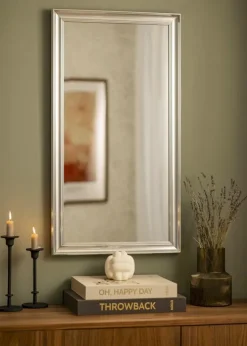 Spejl Alice Sølv 48x88 cm
