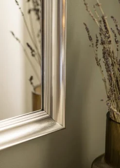 Spejl Alice Sølv 48x88 cm