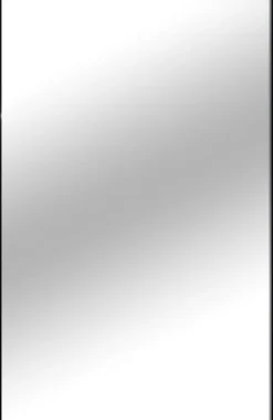 Spejl Narrow Sort 35,5x50,5 cm