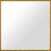 Spejl Nostalgia Guld 65x65 cm
