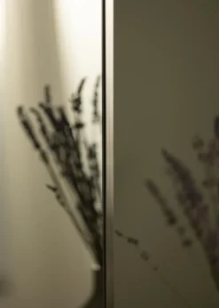 Spejl Tall Rectangle Sølv 55x150 cm