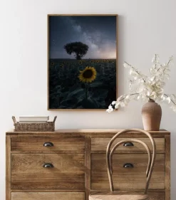 Starsflowers Plakat (21x29.7 cm (A4))