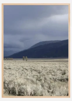 Storm Is Coming Plakat (21x29.7 cm (A4))