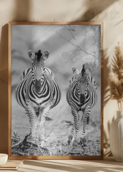 Striped Horse Front On Plakat (21x29.7 cm (A4))