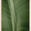 Structure Of Leaves Plakat (21x29.7 cm (A4))