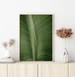 Structure Of Leaves Plakat (21x29.7 cm (A4))