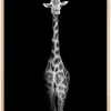 Stunning giraffe Plakat (21x29.7 cm (A4))