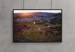 Summer evening on the rocks Plakat (21x29.7 cm (A4))