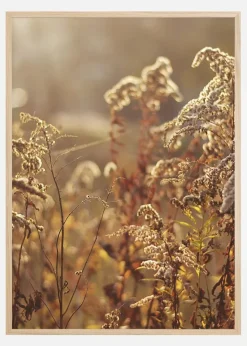 Summer Evening Plakat (21x29.7 cm (A4))