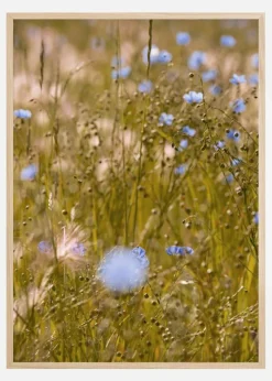 Summer Fields I Plakat (21x29.7 cm (A4))