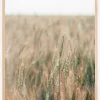 Summer Fields Plakat (21x29.7 cm (A4))