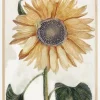 Sunflower Art Plakat (21x29.7 cm (A4))