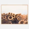 Sunflowers Plakat (21x29.7 cm (A4))